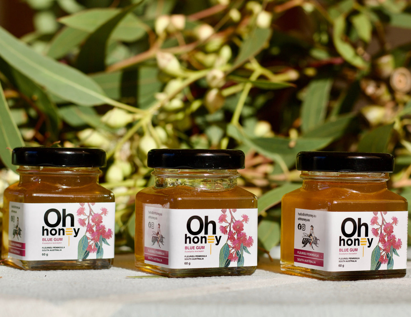 BLUE GUM HONEY MINI PACK - 3 x 60g