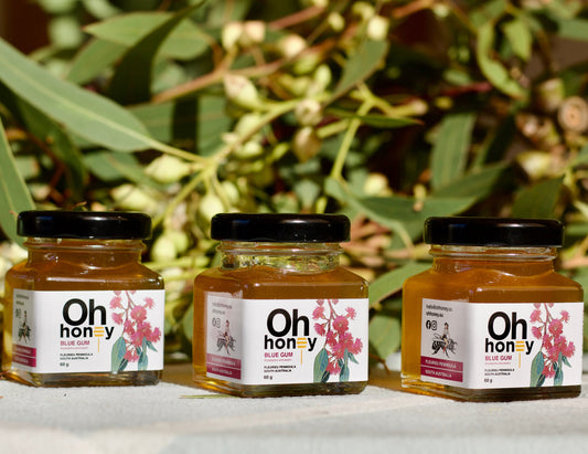 BLUE GUM HONEY MINI PACK - 3 x 60g