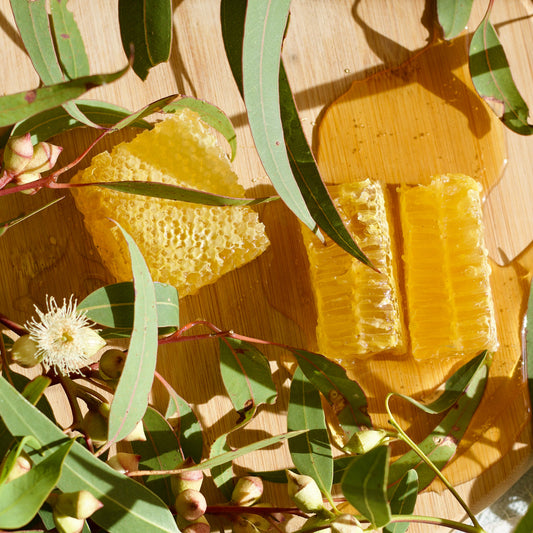 BLUE GUM HONEYCOMB 150g