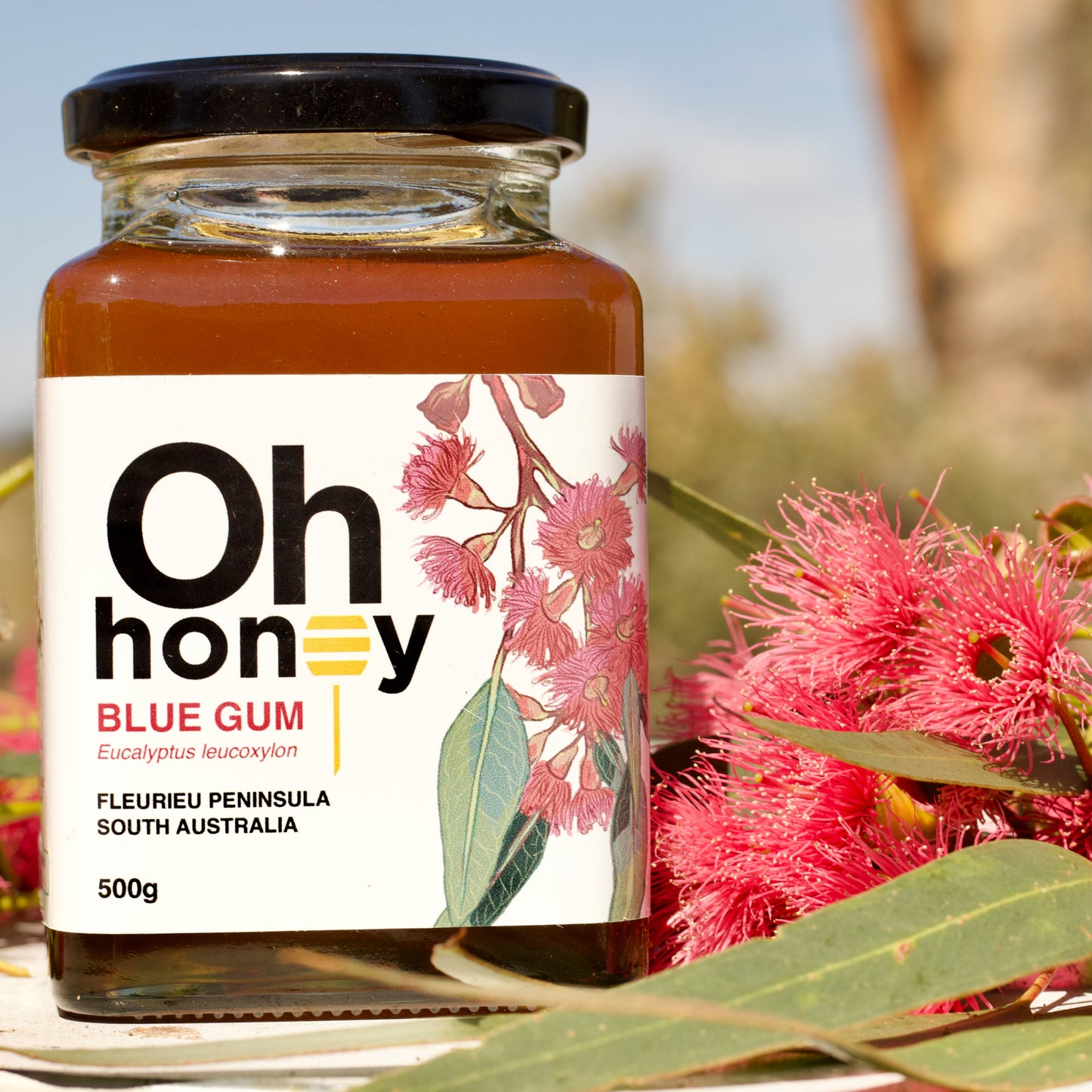 Single-Origin Honey Bundle 3 x 500g | South Australian Honey