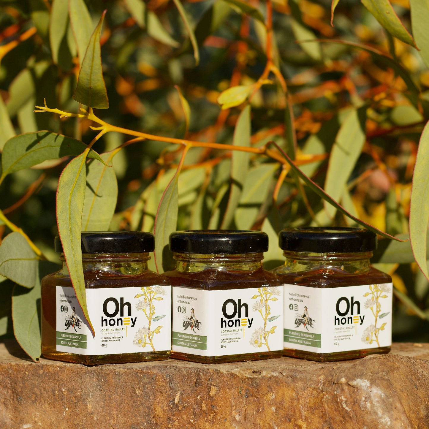 Coastal Mallee Honey Mini Pack 3 x 60g | Raw South Australian Honey