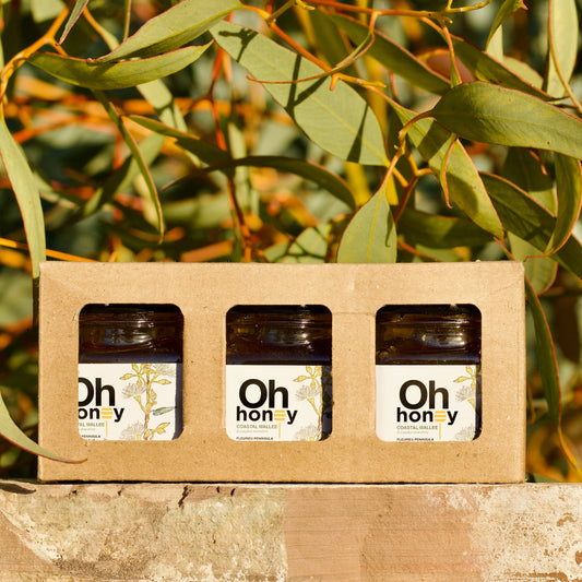 Coastal Mallee Honey Mini Pack 3 x 60g | Raw South Australian Honey