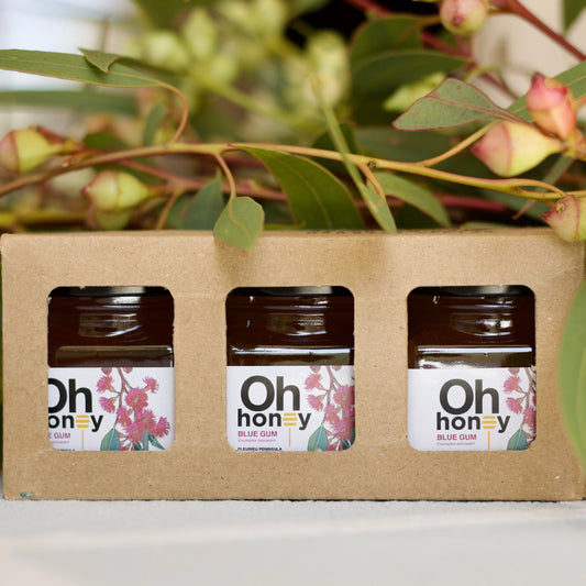BLUE GUM HONEY MINI PACK - 3 x 60g