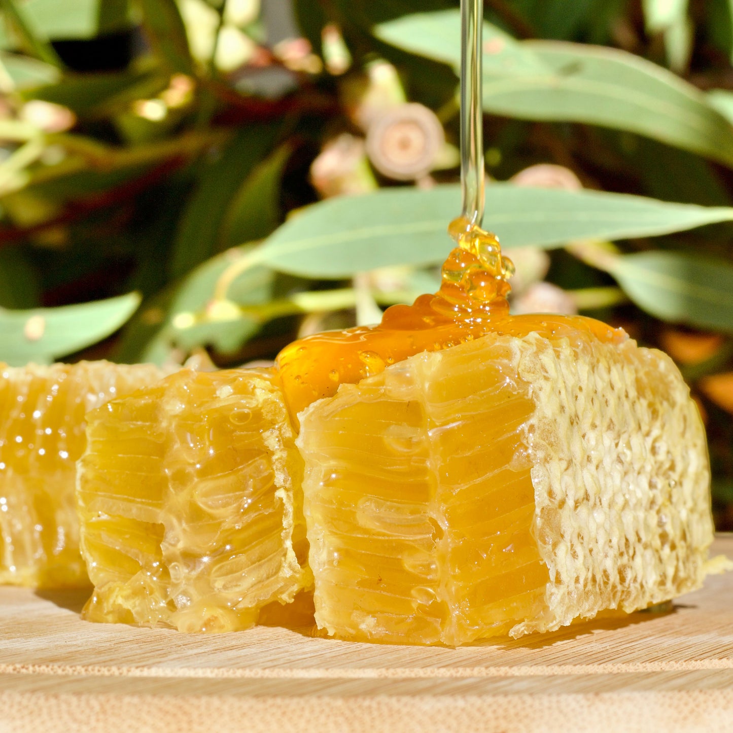 BLUE GUM HONEYCOMB 150g