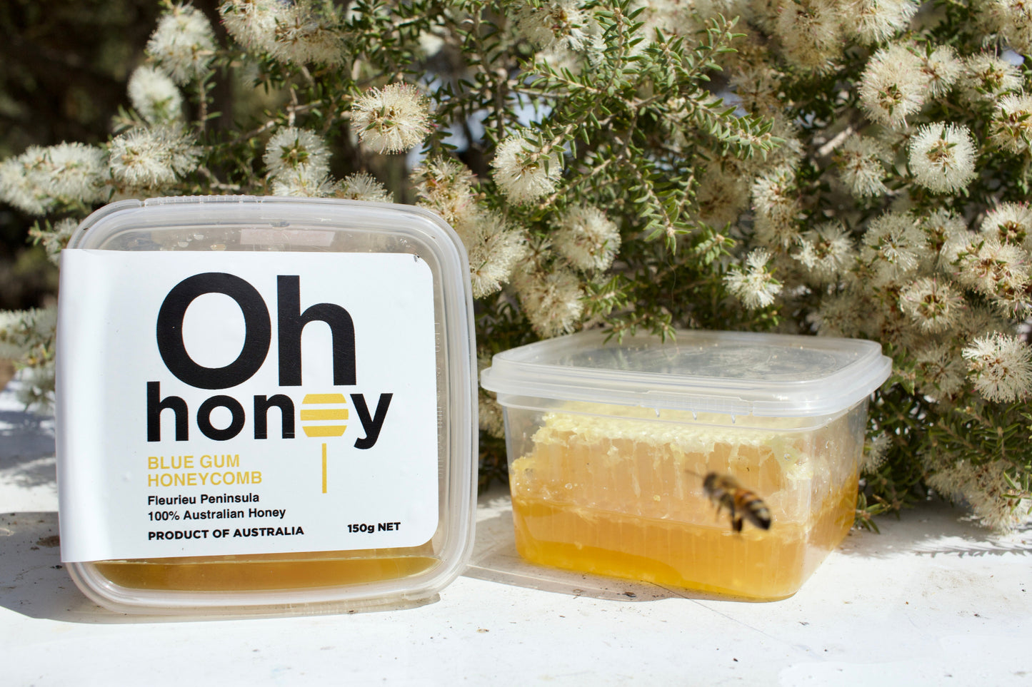 BLUE GUM HONEYCOMB 150g