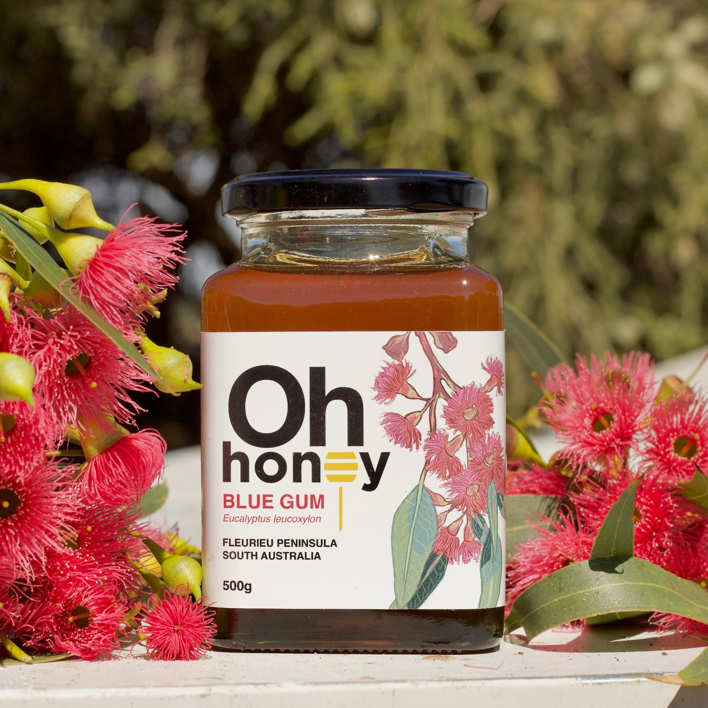 SOUTH AUSTRALIAN BLUE GUM HONEY 500g