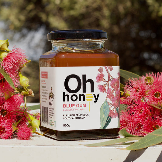 SOUTH AUSTRALIAN BLUE GUM HONEY 500g