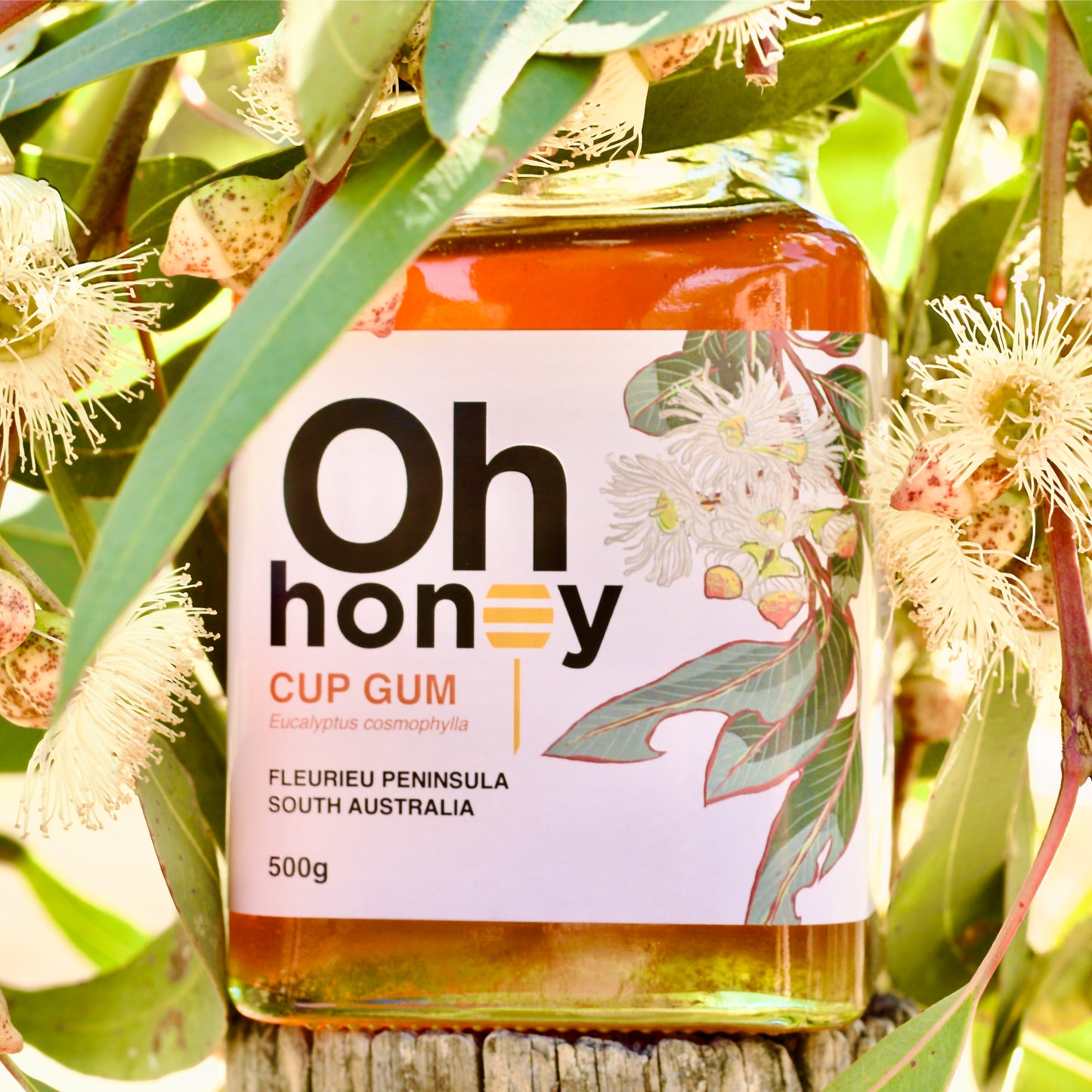 Single-Origin Honey Bundle 3 x 500g | South Australian Honey