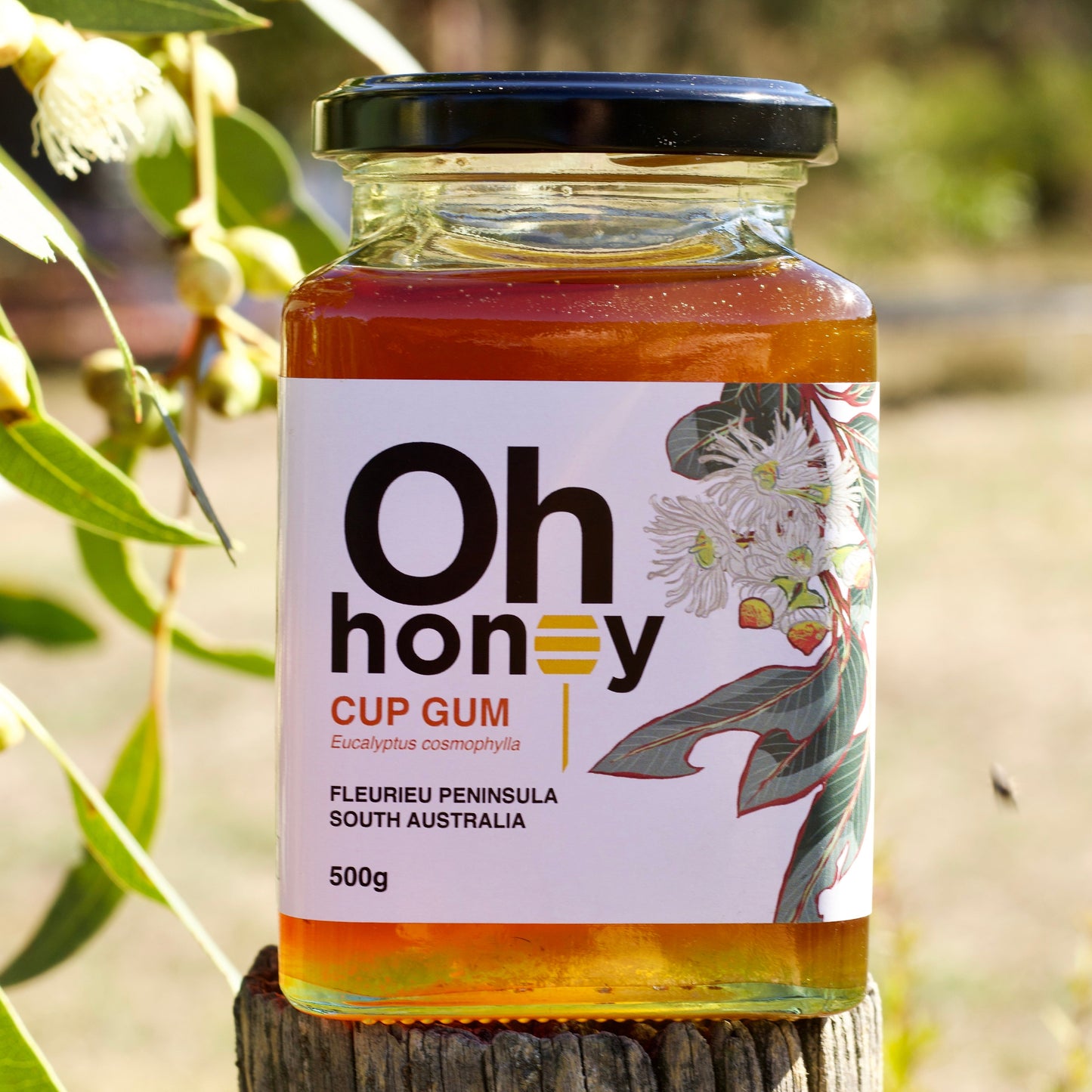 Cup Gum Honey 500g | Raw South Australian Honey