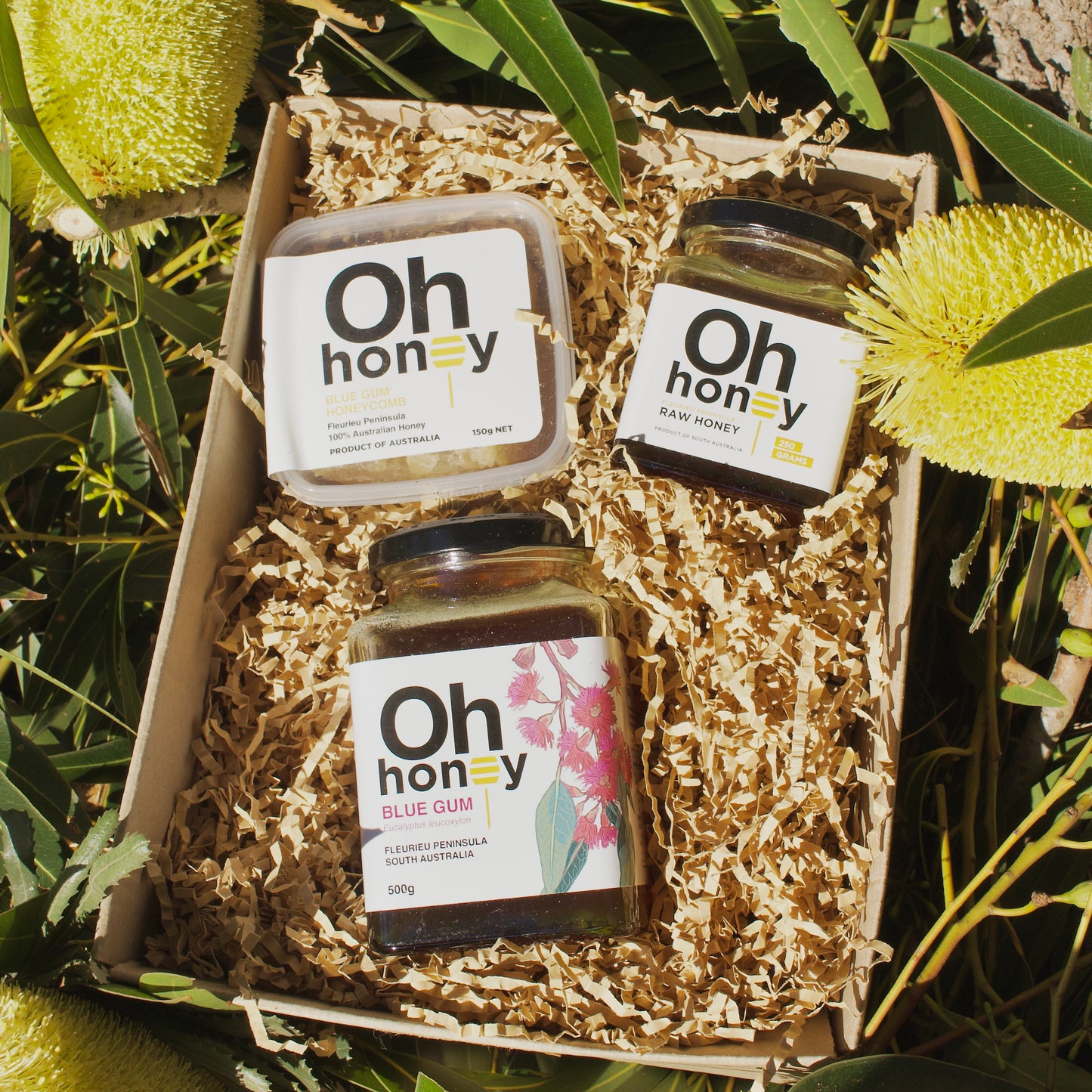 Raw Honey Tasting Bundle