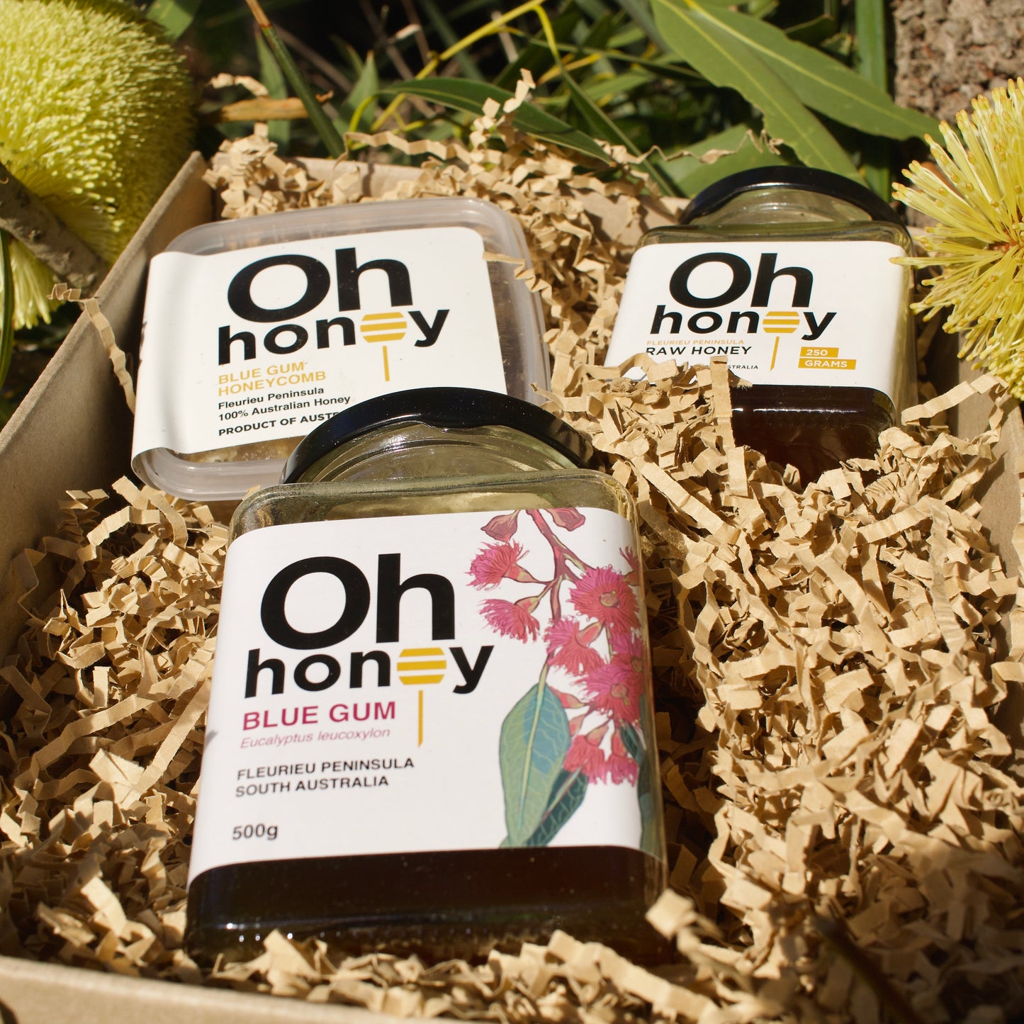 Raw Honey Tasting Bundle