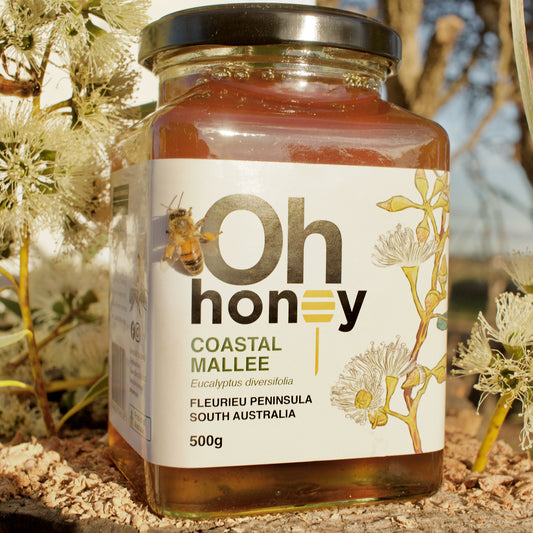 Coastal Mallee Honey 500g | Raw South Australian Honey