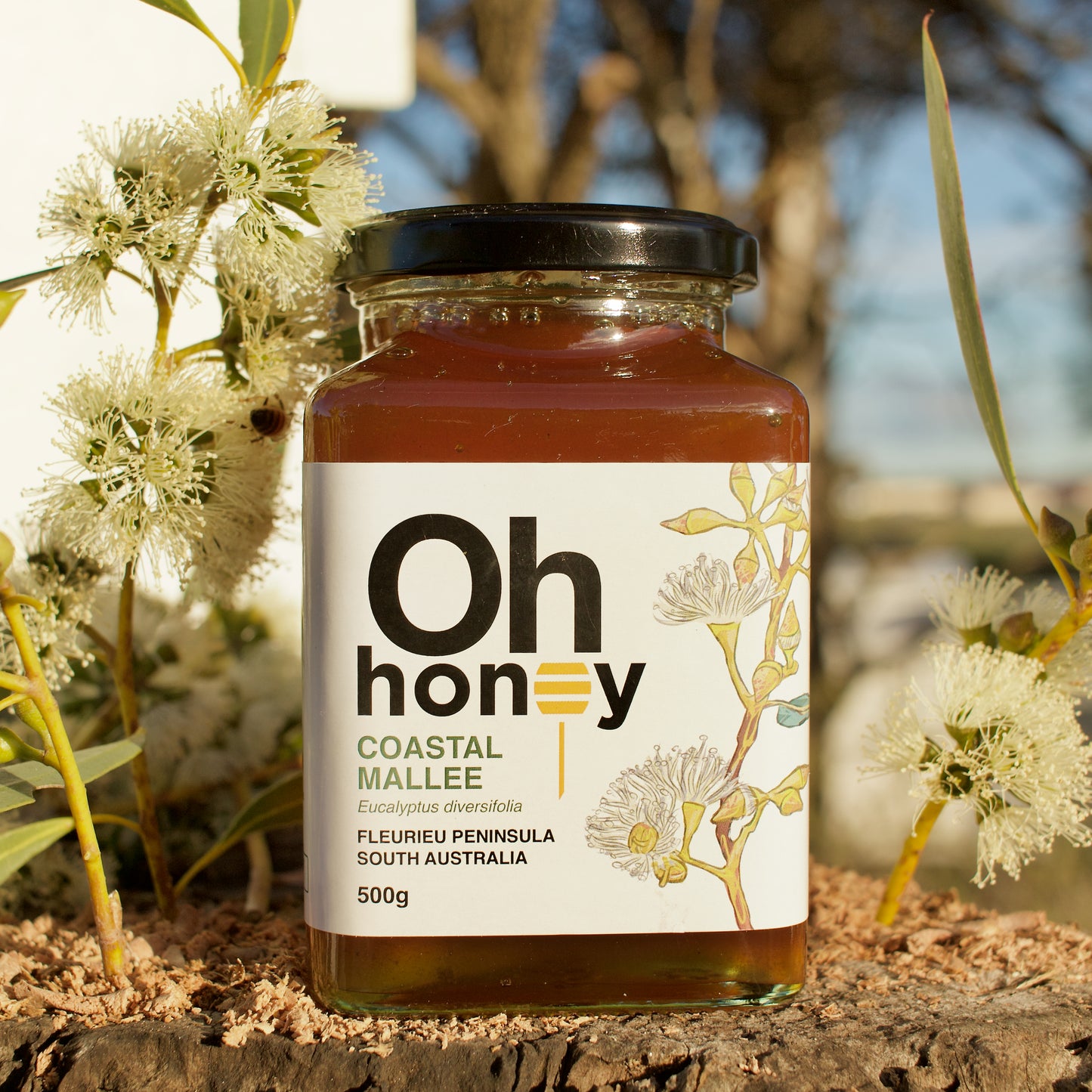 Coastal Mallee Honey 500g | Raw South Australian Honey