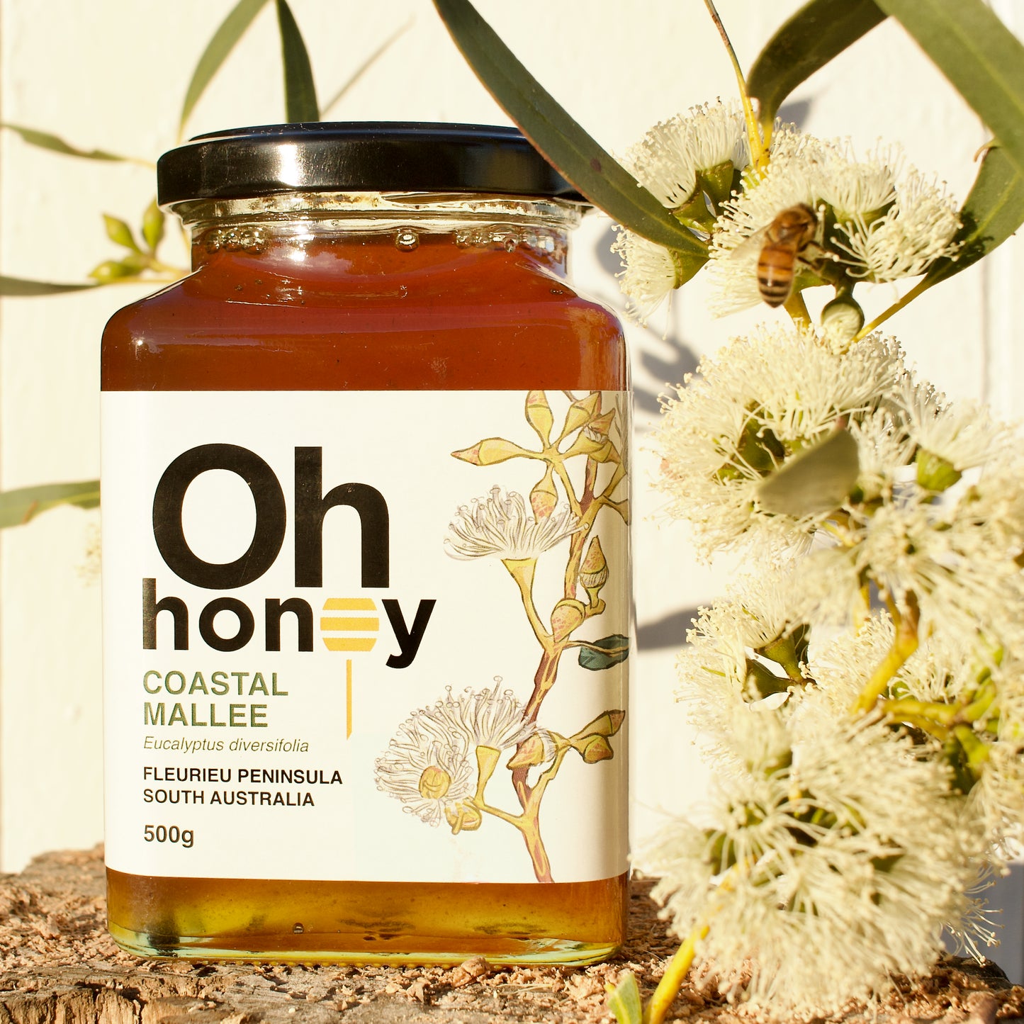Single-Origin Honey Bundle 3 x 500g | South Australian Honey