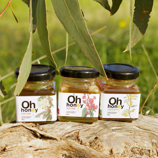 Mixed Honey Mini Pack 3 x 60g | Raw South Australian Honey