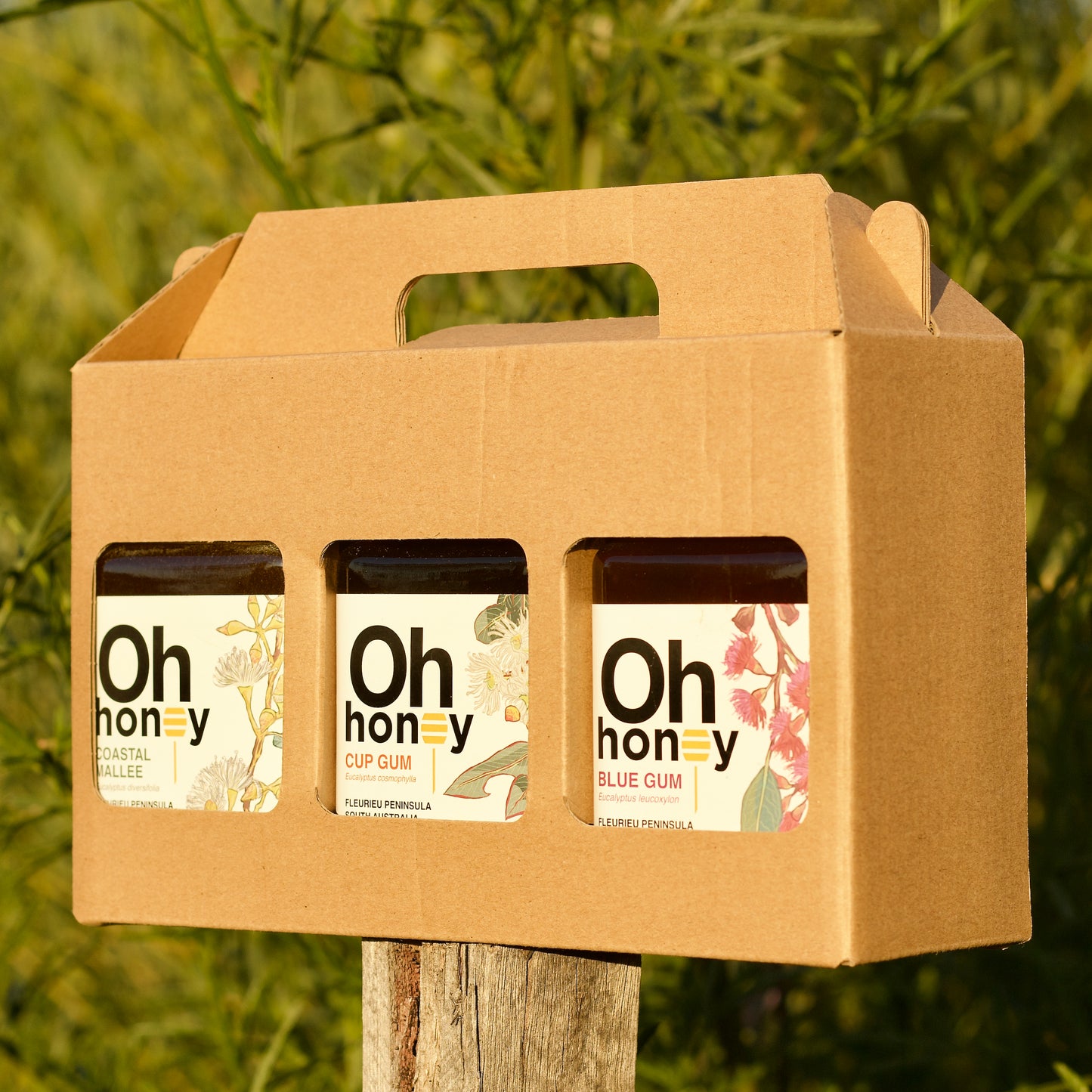 Single-Origin Honey Bundle 3 x 500g | South Australian Honey