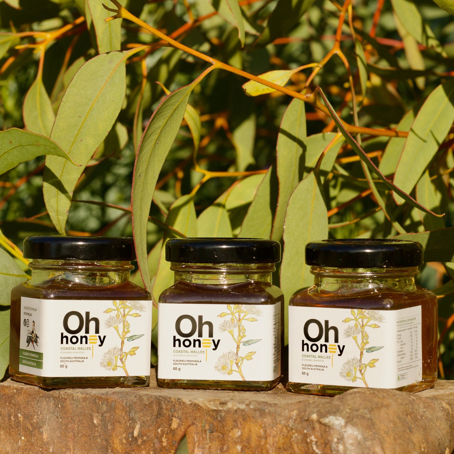 Coastal Mallee Honey Mini Pack 3 x 60g | Raw South Australian Honey