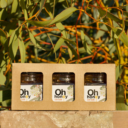 Cup Gum Honey Mini Pack 3 x 60g | Raw South Australian Honey